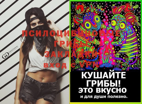 молекула духа Алексин