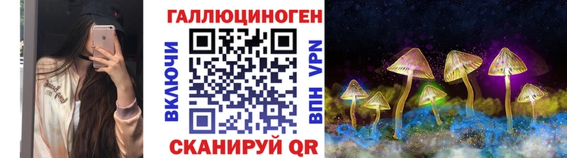 купить закладку  Сим  Псилоцибиновые грибы Psilocybe 